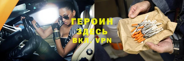 индика Алексин