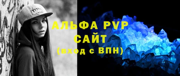 индика Алексин
