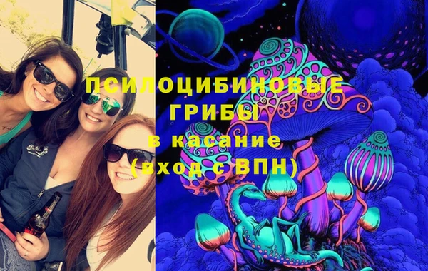 соль ск Алзамай