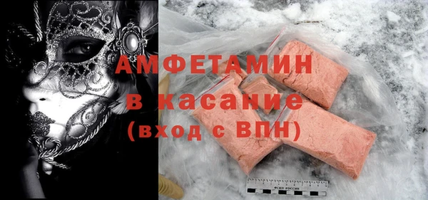 индика Алексин