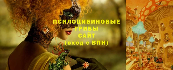 каннабис Арсеньев