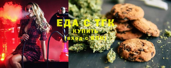 индика Алексин